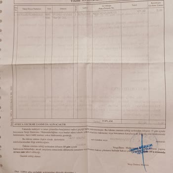 Gelir İdaresi Başkanlığı Trafik Cezası Silinmedi