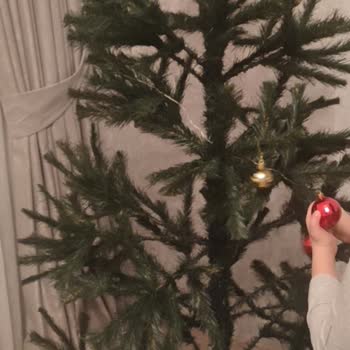 IKEA Çam Ağacı Şikayeti