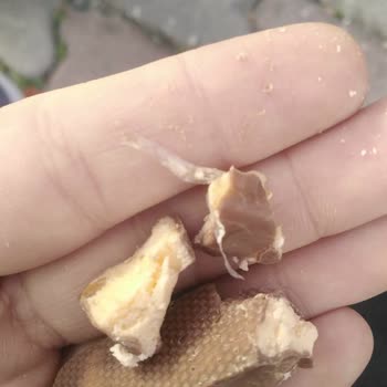 SGS Çikolata Cino Çikolatadan Poşet Çıktı