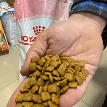 PttAVM Sahte Ürün Mağduriyeti!