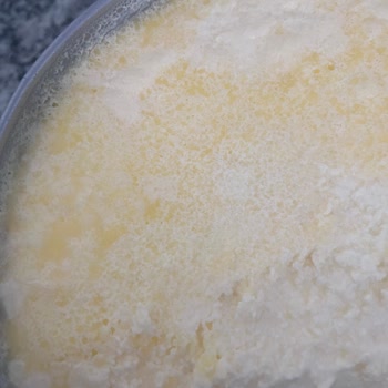 Ala Süt Uluova Süt Sütün İçine Katı Yağ Koymuş