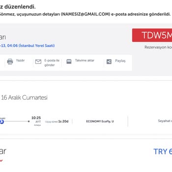 Problem With Not Being Able To Edit SunExpress Airlines Invoices