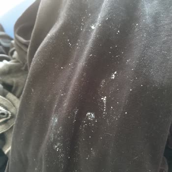 Electrolux Çamaşır Deterjanlı Olarak Çıkması