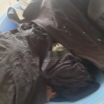 Electrolux Çamaşır Deterjanlı Olarak Çıkması