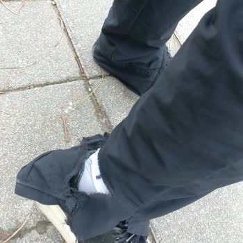 İBB - İstanbul Büyükşehir Belediyesi Validebağ Korusu Başıboş Köpek Saldırısı