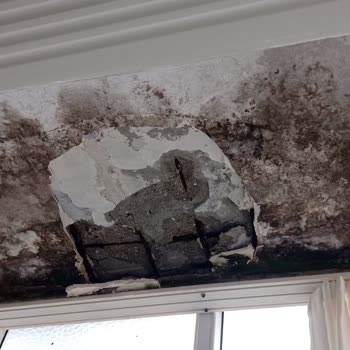 HDI Sigorta Evim Su Alıyor