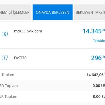 Wix.com Usulsüz Para Çekimi