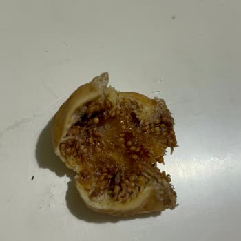Eki aç
