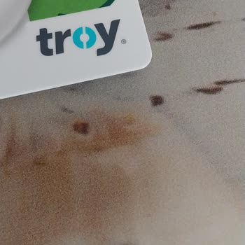 Troy Kartla Yükleme Engeli.