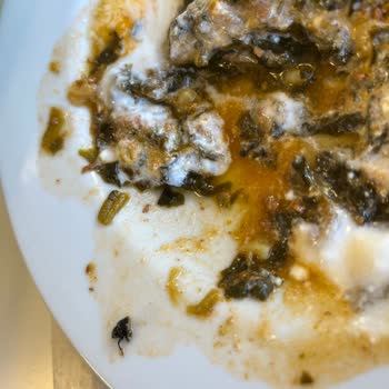 Sardunya Hazır Yemek Sardunya Yemekten Böcek Çıktı.