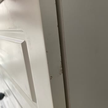 Deforme Gönderilen Vivense Bebek Odası Sonrasında Muhatap Bulunamaması