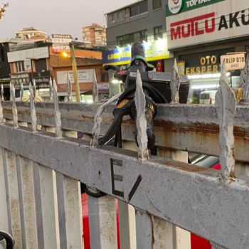 Martı Duyarsızlığı Ve Çözümsüzlüğü