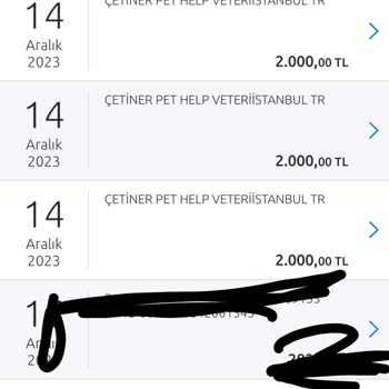 Çetiner Veteriner Kliniği (Pendik) Yüksek Ücretli Veteriner Tedavi Şikayeti