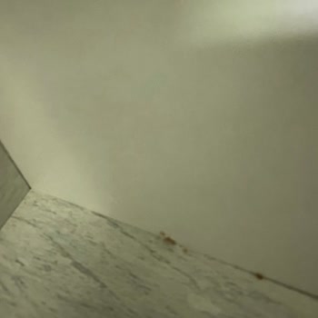 Esme AVM Gardırop Sıvacısı