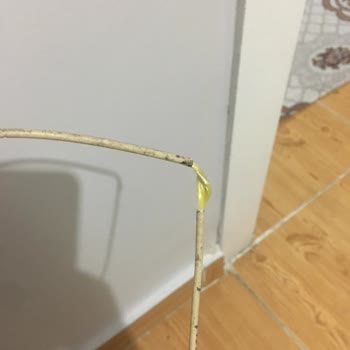 Turkcell Superonline Teknik Destek Krizi