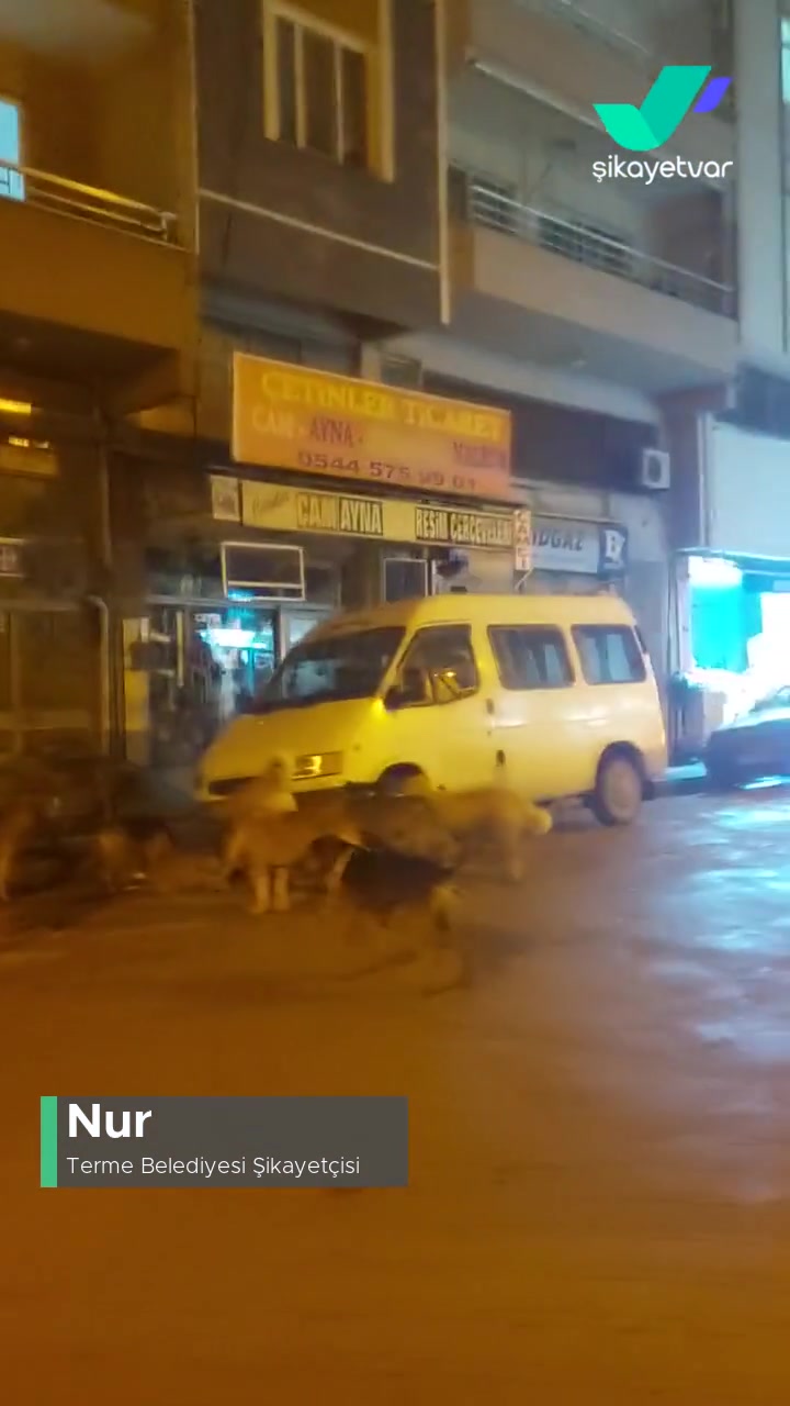 Terme Belediyesi'nin Çalışmaması videonun kapak resmi