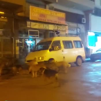 Terme Belediyesi'nin Çalışmaması