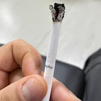 Philip Morris Sigaralardaki Kalitesizlik Ve Denetimsizlik