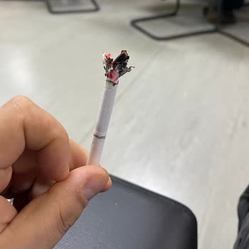 Philip Morris Sigaralardaki Kalitesizlik Ve Denetimsizlik