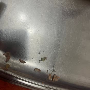 Tıkla Gelsin Fast Food Siparişinde Beklenmedik Madde Bulundu