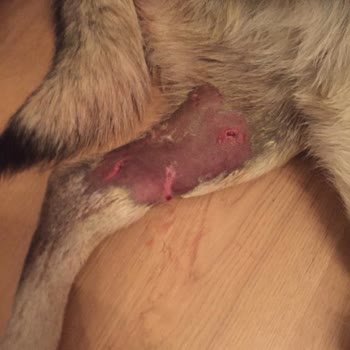 Sinpaş GYO Site Yönetimi Ve Özel GOP Güvenlik Şirketinin Usulsüzlükleri