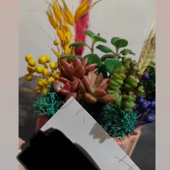 Taze Çiçek (tazecicek.com) Sipariş Hüsranı: Yanlış Ürün Hayal Kırıklığı