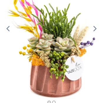 Taze Çiçek (tazecicek.com) Sipariş Hüsranı: Yanlış Ürün Hayal Kırıklığı