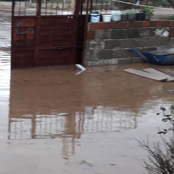 İzmir Büyükşehir Belediyesi İlgisiz