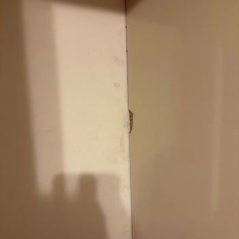Afyon Çoban Nakliyat Mağduriyeti