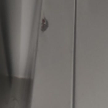Vestel Buzdolabımız Daha Yeni Aldık Paslanıyor