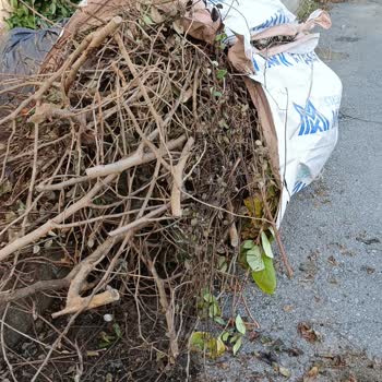 Sarıyer Belediyesi Kilyos Sokak Çöp Sorunu 3 Aydır Devam Ediyor!