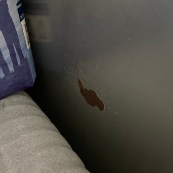 Samsung Beni Pişman Etti Derhal Bu Hatanın Düzelmesini İstiyorum