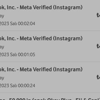 Instagram Meta Verified Para İadesi Sorunu