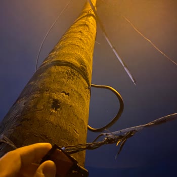 CK Enerji Akdeniz Elektrik Aydınlatma Direği Şikayet