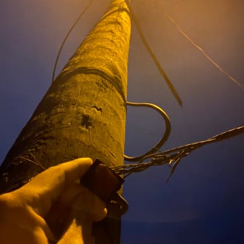 CK Enerji Akdeniz Elektrik Aydınlatma Direği Şikayet