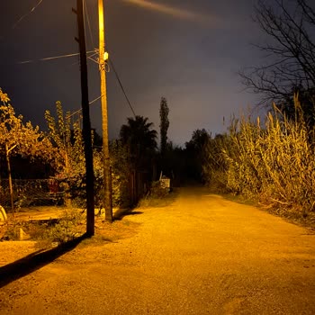 CK Enerji Akdeniz Elektrik Aydınlatma Direği Şikayet