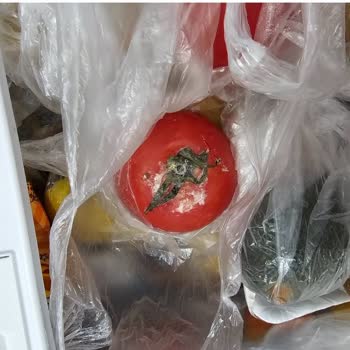 Bosch Alttan Donduruculu Buzdolabı Şikayeti