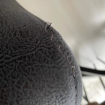 Gündoğdu Mobilya Servis Ve Ürün Kalitesi Hayal Kırıklığı