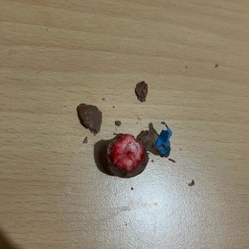 Patiswiss Patıswıss'den Yabancı Madde Çıktı!