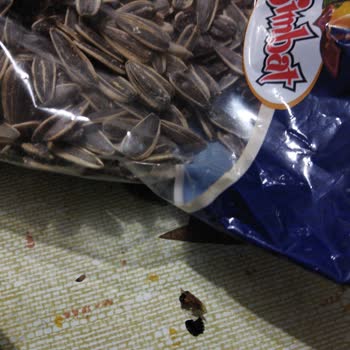 BİM Simbat Çekirdekten Böcek Çıktı