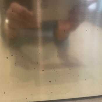 LG Buzdolabındaki Pas Gibi Lekelenmeler