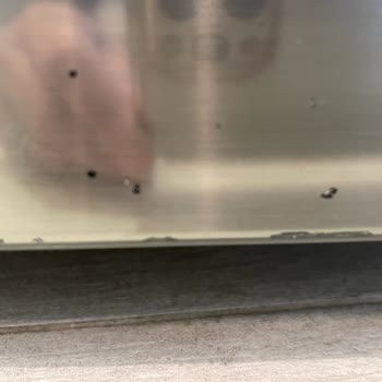 LG Buzdolabındaki Pas Gibi Lekelenmeler