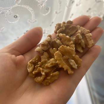Simbat Kuruyemiş Ceviz Kurtlu Ürün