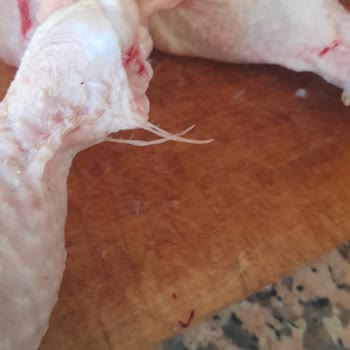 Lezita Temizlik Ve Hijyen