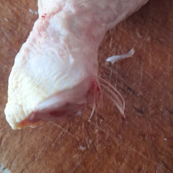 Lezita Temizlik Ve Hijyen