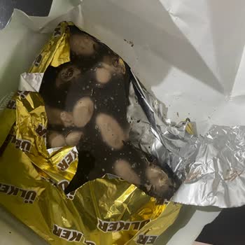 Ülker Çikolatada Tatsız Sürpriz!