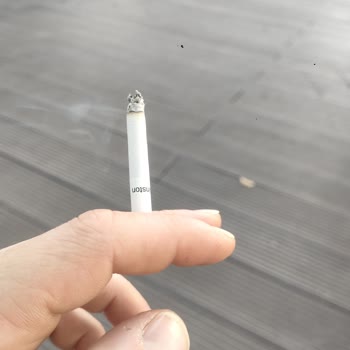 Winston Slender Gray Değişti Mi?
