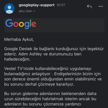 Vestel TV Pişmanlık Sebebi