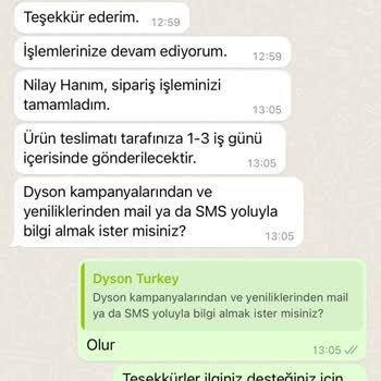 Dyson Başlık Kırılması V8