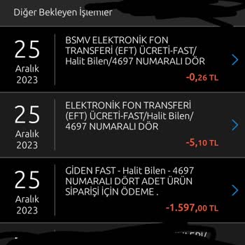 Vanilin Design Tarafından Ödemenin Alınıp Kargonun Gönderilmemesi